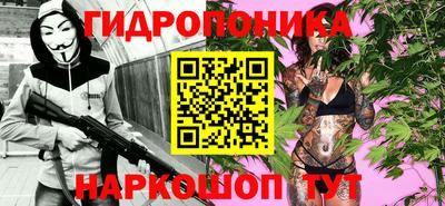 эйфоретик Новокубанск