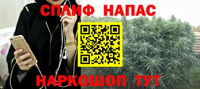 соль ск Новозыбков