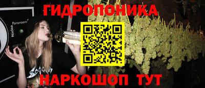 соль ск Новозыбков