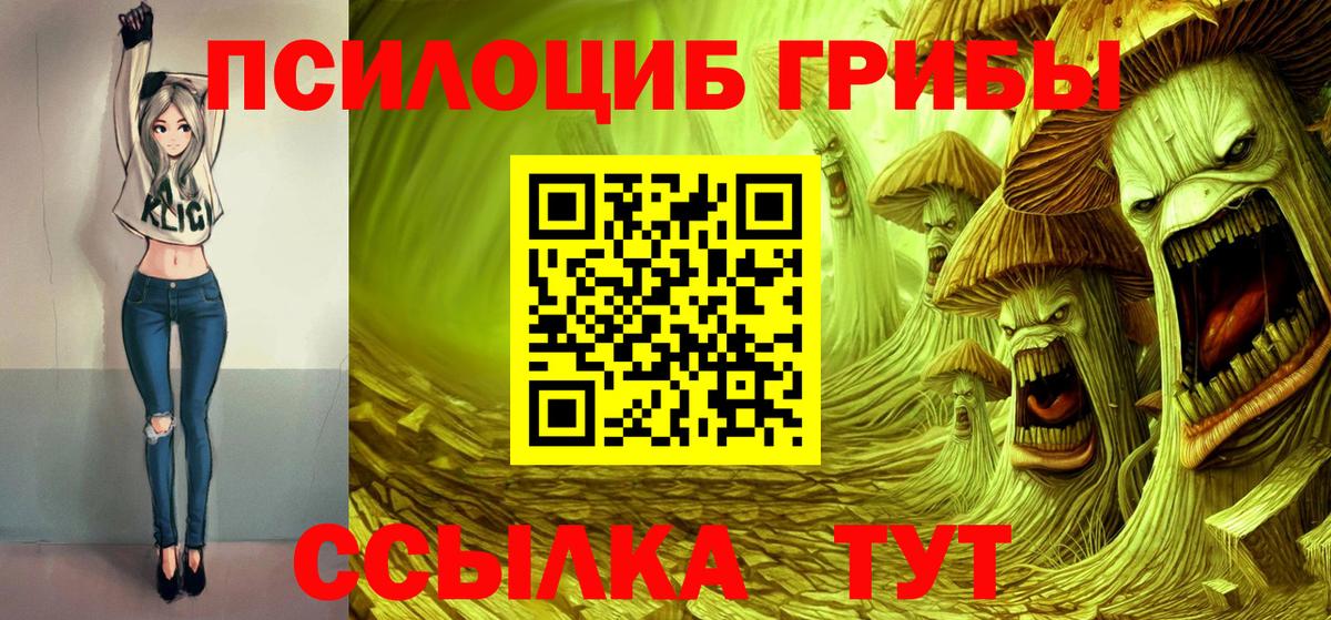 Псилоцибиновые грибы MAGIC MUSHROOMS Шадринск